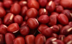 Java Bean 如何高效转换到另一个 Bean？