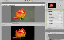 Capture NX2教程从哪开始学？