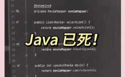 Java是语言改进还是重新设计的产物？