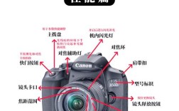 单反摄影入门从哪开始学？