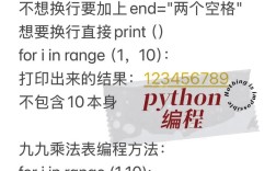 python程序执行python指令
