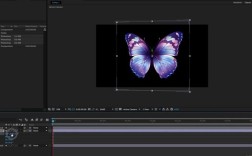 Particular教程，新手如何快速上手粒子特效？