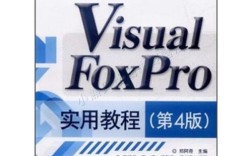 Visual FoxPro教程视频哪里找？
