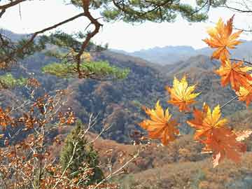 电脑维修区