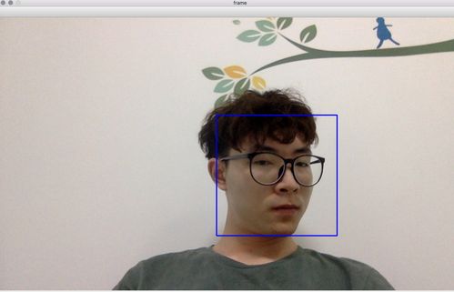 OpenCV Python摄像头如何实时调用？-图3