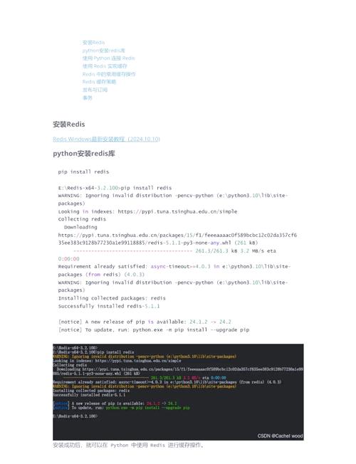 Python中Redis的SortSet如何实现高效排序？-图1