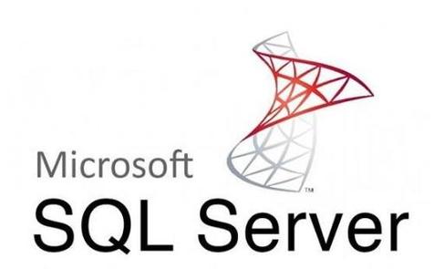 SQL Server 2025教程，新功能有哪些？怎么学？-图3