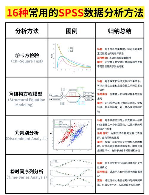 张文彤SPSS高级教程，如何掌握核心统计分析技巧？-图1