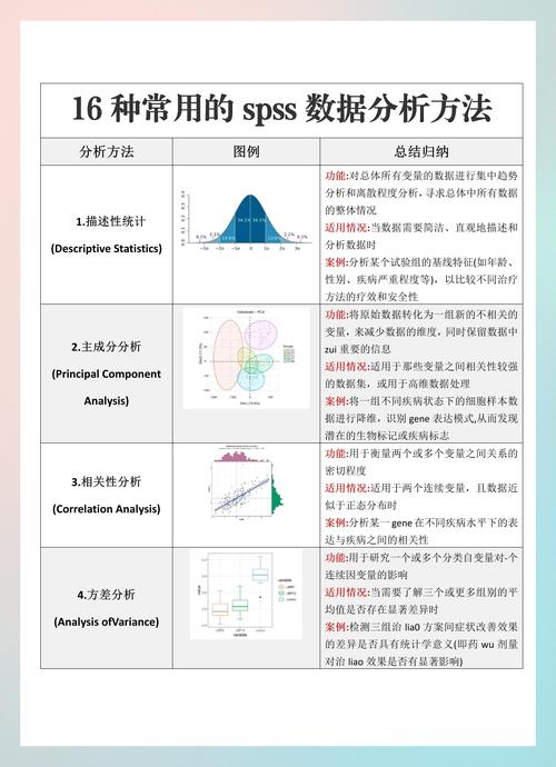 张文彤SPSS高级教程，如何掌握核心统计分析技巧？-图3