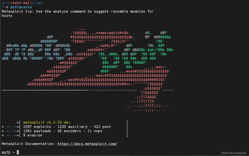 Kali Linux安全渗透教程从哪学起？-图3