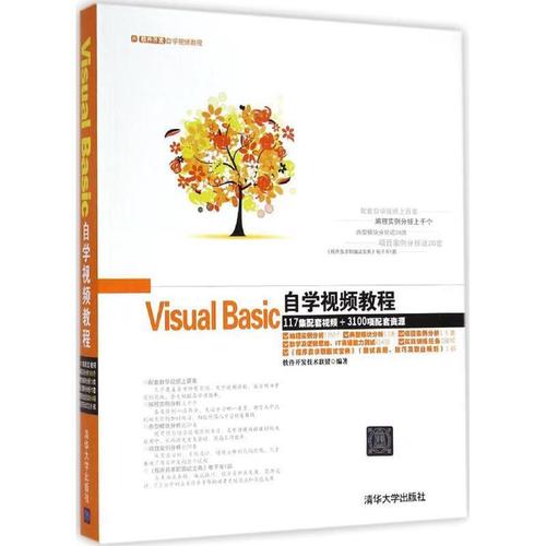 Visual Basic教程视频该怎么学？-图2
