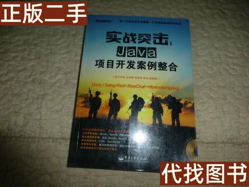 Java Web项目整合实战，如何高效整合开发？-图1