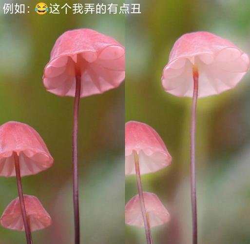 Photoshop教程,新手如何快速上手?-图3 Photoshop教程,新手如何快速上手?-图3