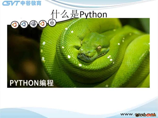 中谷Python视频教程如何学透编程基础？-图1