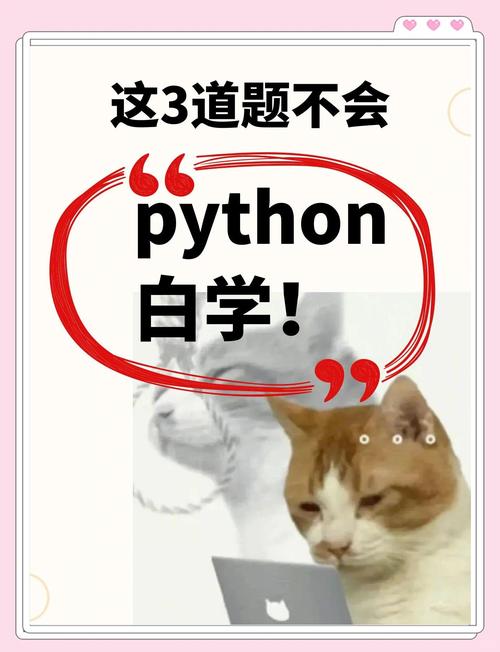 zmq conflate python-图2