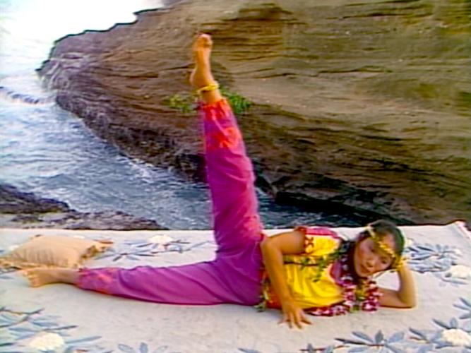 惠兰瑜伽视频教程初级全套40集-图1