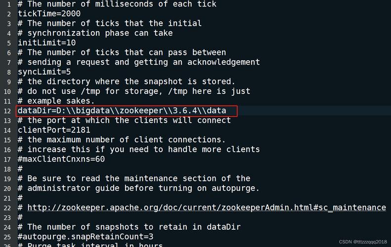 Zookeeper下载安装教程，环境配置与启动步骤详解？-图1