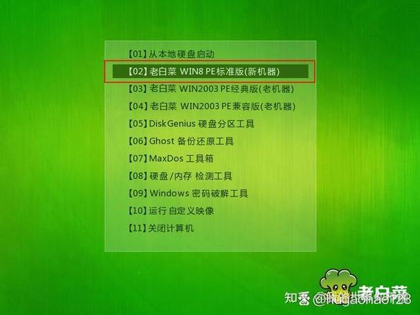大白菜U盘装Win10教程步骤详解？-图2