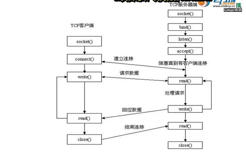 Java与C Socket通信如何实现跨语言数据交互？-图1