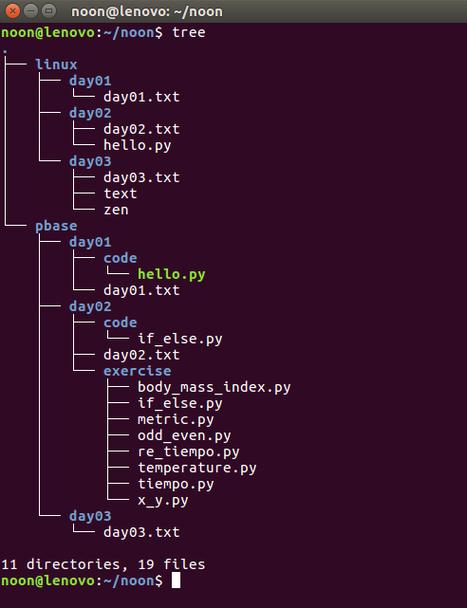 Python os.path.walk如何遍历目录树？-图1
