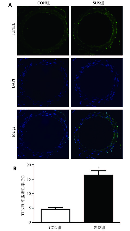 Python如何用Thrift连接Hbase？-图2