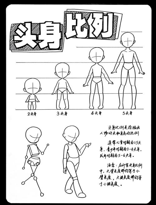 Anime Studio教程该怎么学？入门到精通有路径吗？-图3