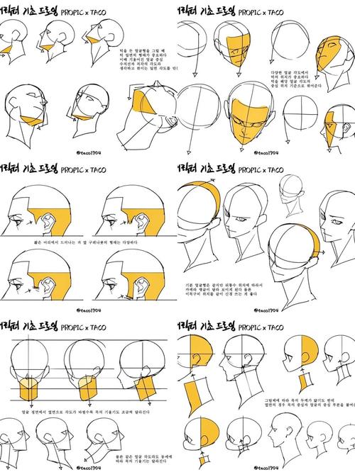 Anime Studio教程该怎么学？入门到精通有路径吗？-图1