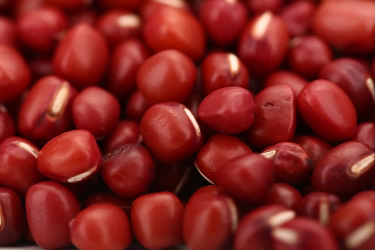 Java Bean 如何高效转换到另一个 Bean？-图1