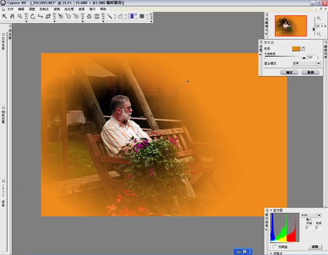 Capture NX2教程怎么学？新手入门指南是什么？-图3