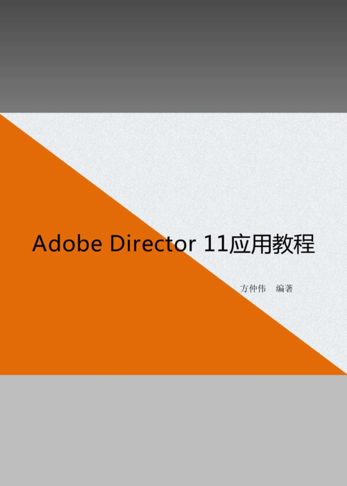 Director 11教程怎么学？入门到精通指南-图3