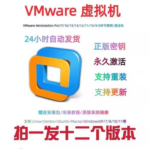 VMware 10安装教程步骤是怎样的？-图3