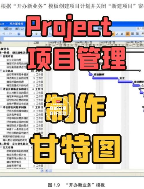 Project 2010教程怎么学？-图2
