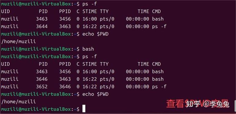 Linux shell教程，如何快速入门？-图1