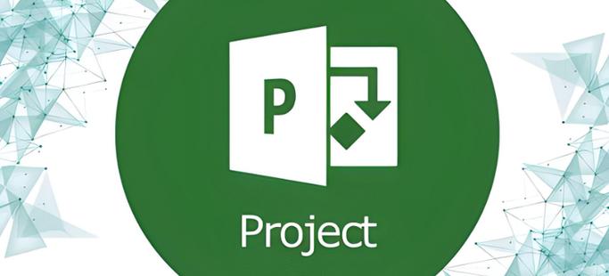 Project 2003教程怎么学？入门到精通技巧有哪些？-图2