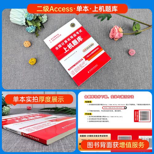 Access 2025教程怎么学？新手入门指南？-图3