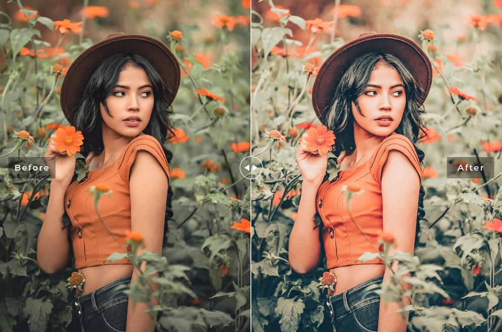 Lightroom视频教程该怎么学？-图2