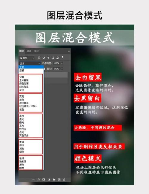 Photoshop CS教程，从零开始学吗？-图1