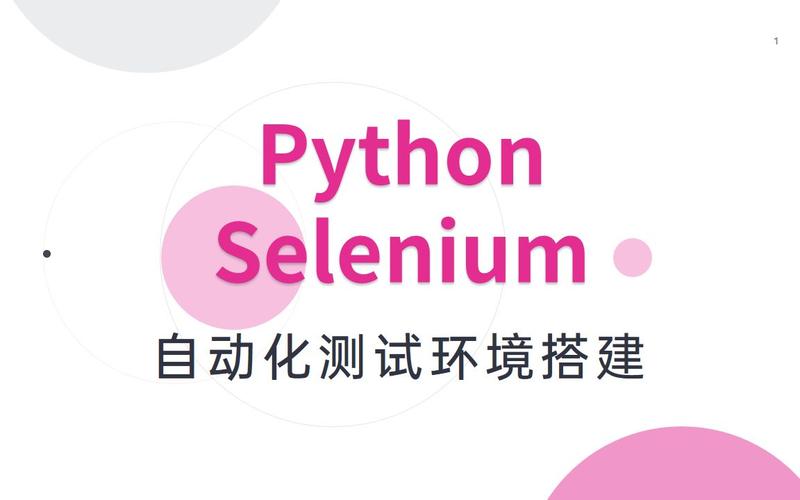 selenium python 单击-图3