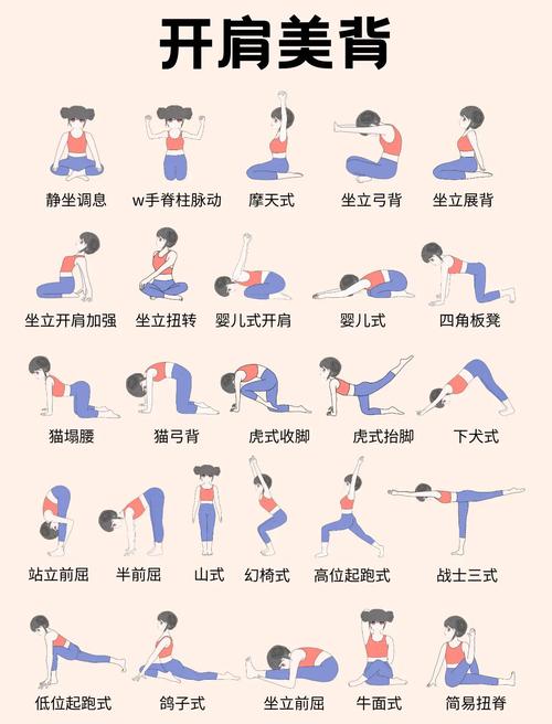 瑜伽视频教程初级全套免费下载-图1