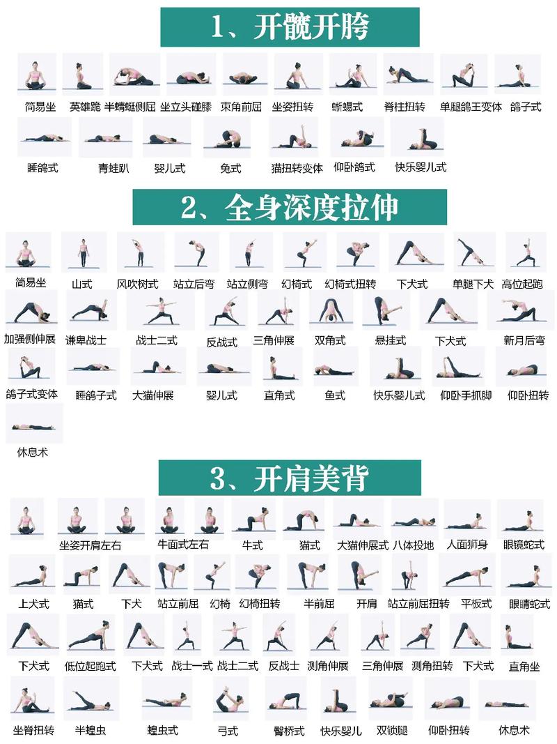 瑜伽视频教程初级全套免费下载-图2