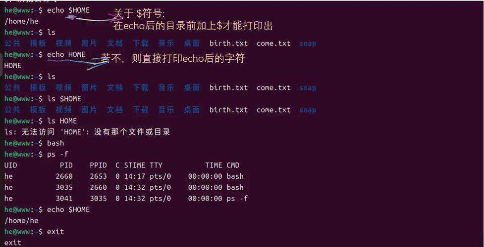 ubuntu配置java环境变量-图1 ubuntu配置java环境变量-图1