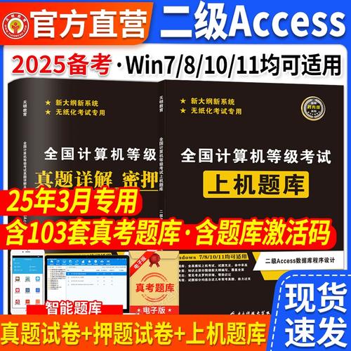 java access 2025-图2