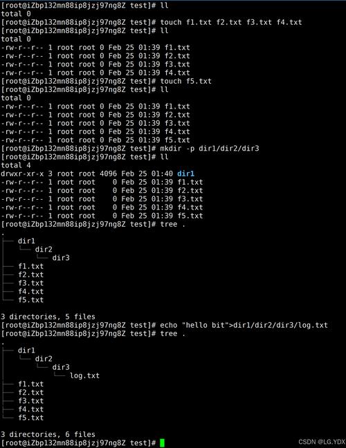 Linux下Java命令怎么运行？-图3