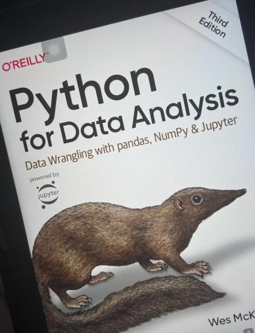 python str shuffle-图3