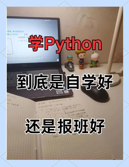 Python2还是Python3？该选哪个学？-图1