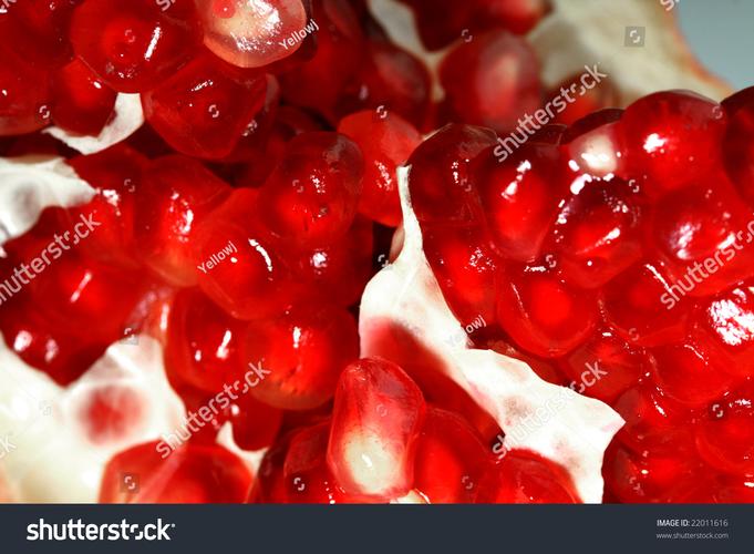 pomegranate python-图2 pomegranate python-图2