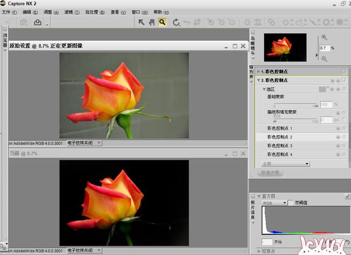 Capture NX2教程从哪开始学?-图1 Capture NX2教程从哪开始学?-图1