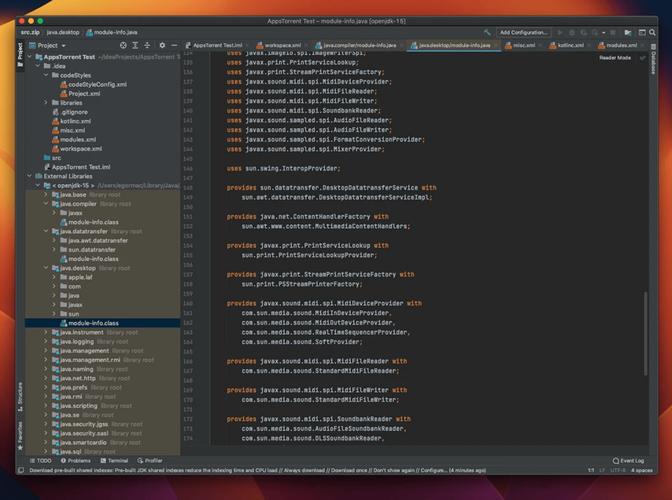 Java Runtime在Mac上怎么安装或配置？-图1