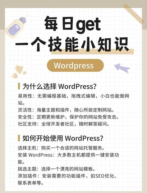 WordPress开发教程该怎么学？-图2