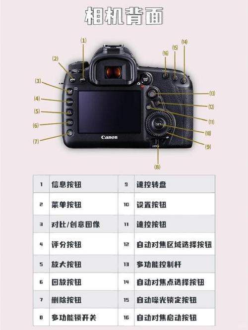 5D Mark III新手如何快速上手？-图2